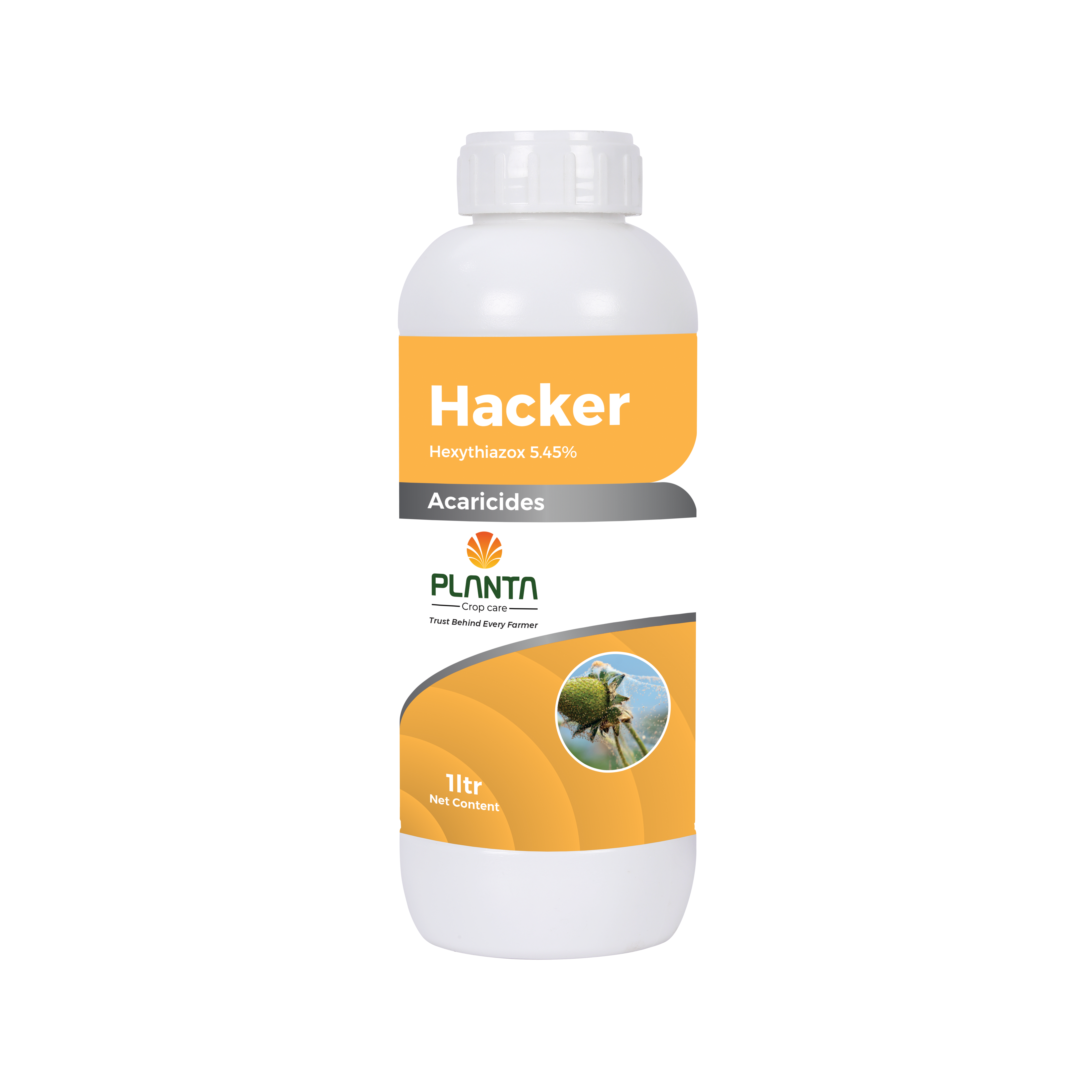 Hacker