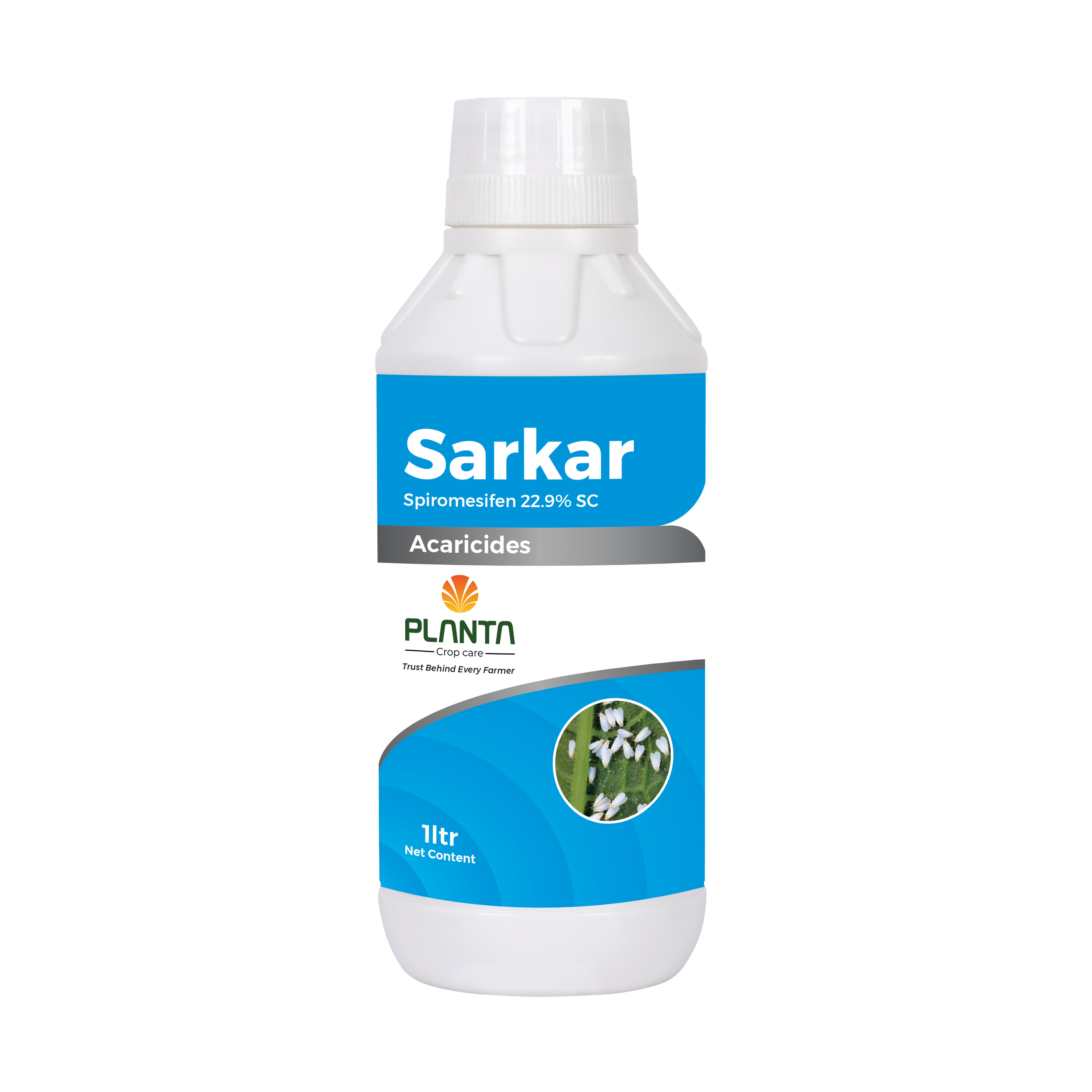 Sarkar