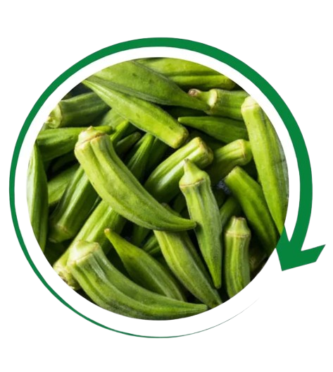 Fruits